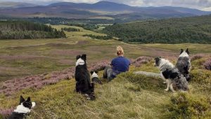 Newtonmore Hill Trial - view from the top